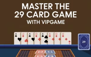 29 card game